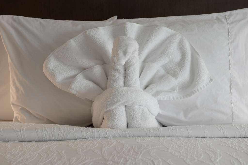 Hilton Garden Inn Louisville Mall Of St. Matthews Zařízení fotografie